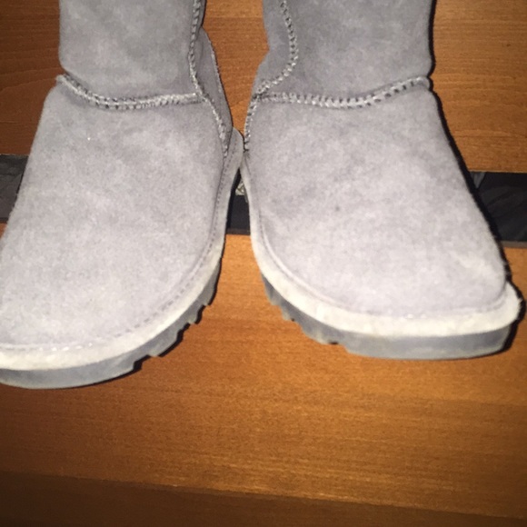 Paws - Picture 6 of 6